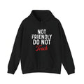 Not Friendly Do Not Touch Hoodie