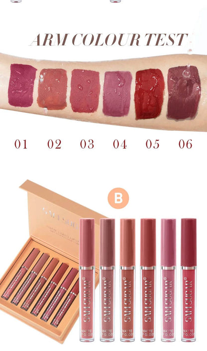 SAM SUGAR Long-Lasting Waterproof Non-stick Cup sexy colors Matte Mist Top 6 Lip gloss set Easy Color silky texture Lip glaze - Tamnz